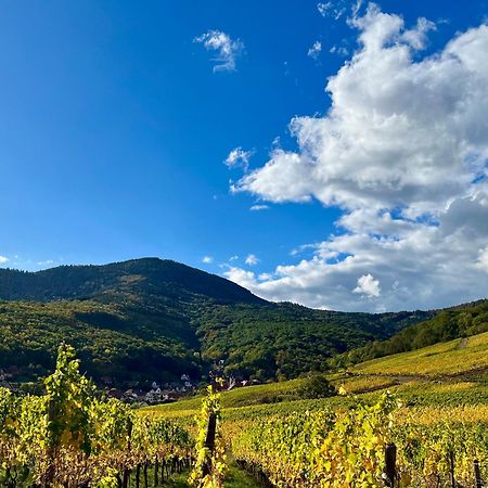 Chambre Du Vigneron - Domaine Leon Bleesz Reichsfeld Exterior foto