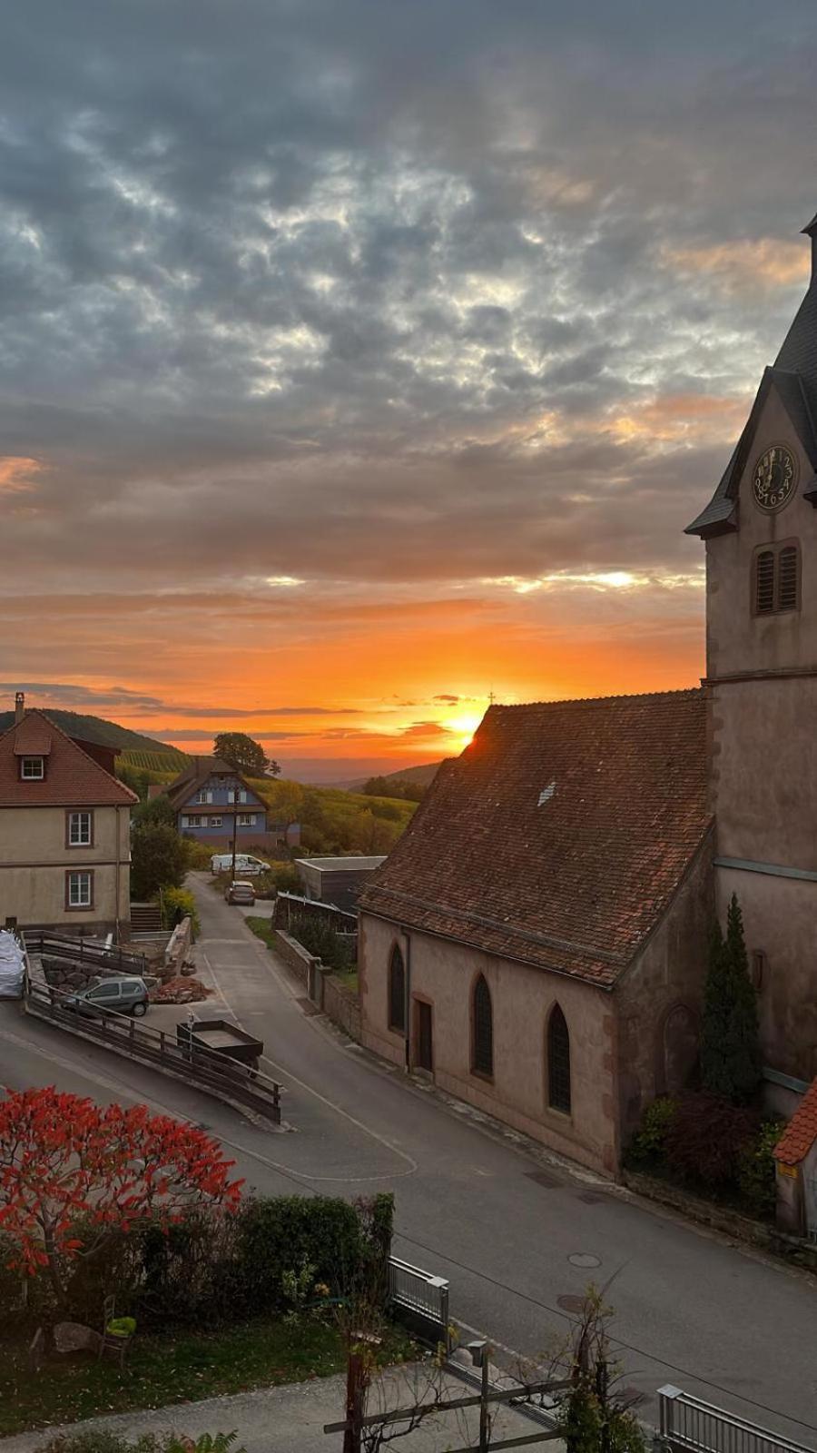 Chambre Du Vigneron - Domaine Leon Bleesz Reichsfeld Exterior foto